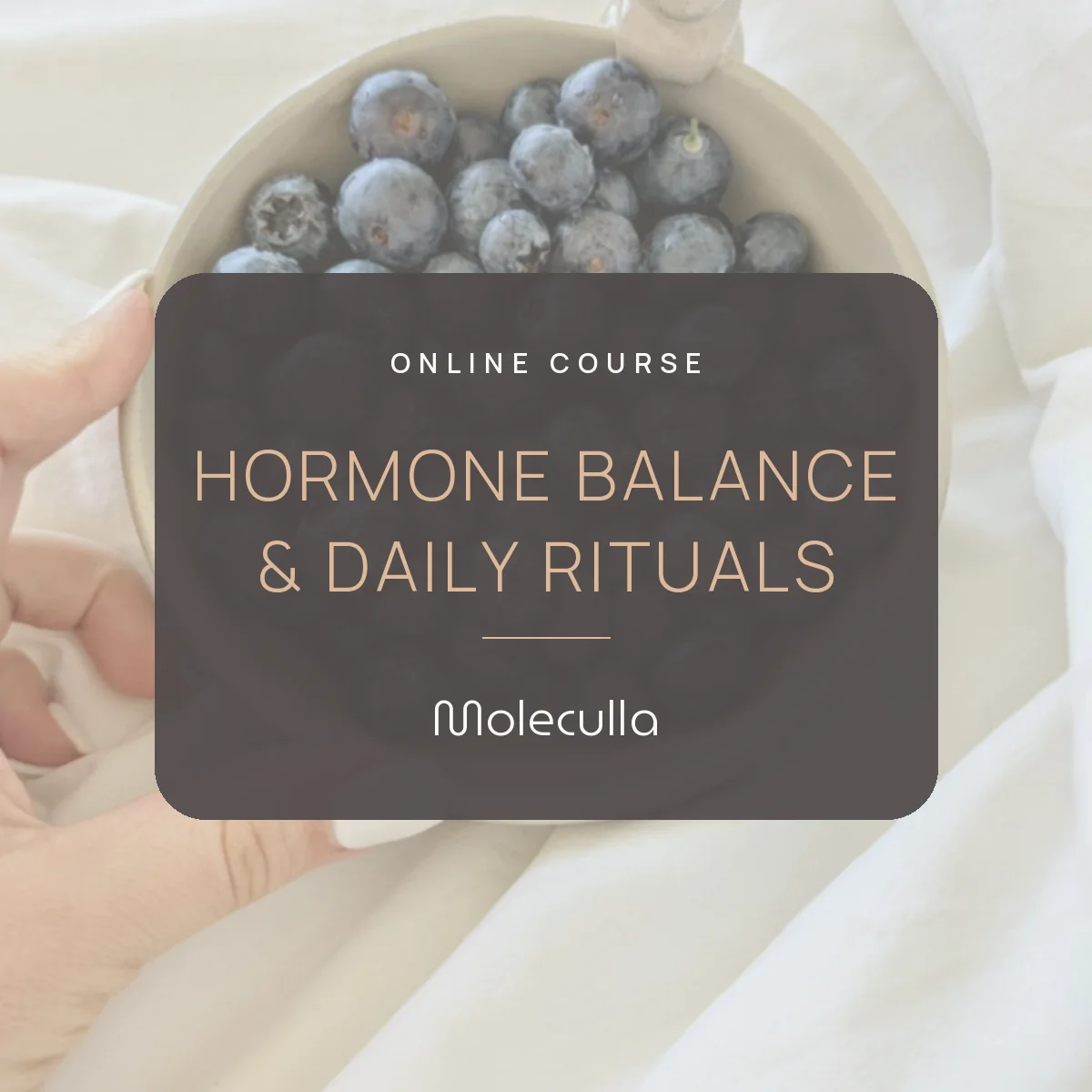Hormone balance & daily rituals course
