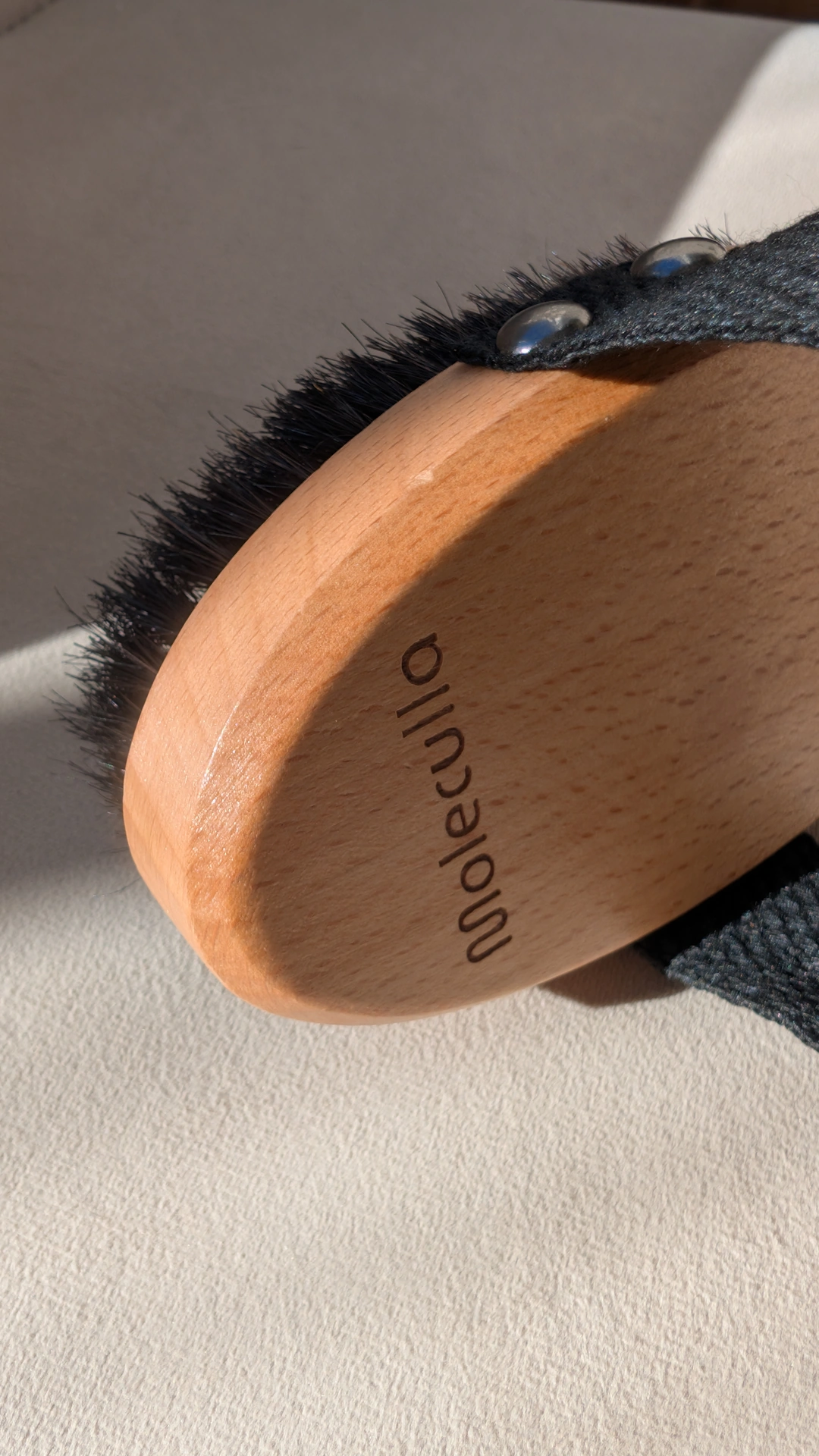 Body Brush Lifestyle Wellness Nutrition 1