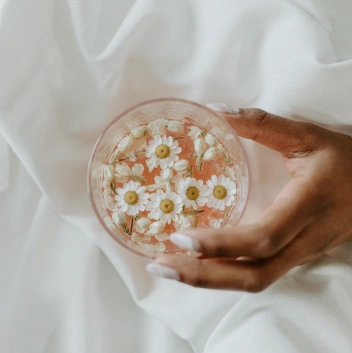 Moleculla Lifestyle Wellness Nutrition Email 3